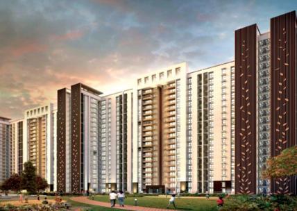 Tree Top Heights — 2022